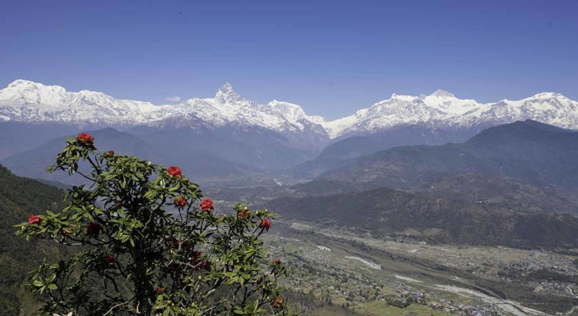 Sarangkot Sherpa Resort P Ltd Похара Екстериор снимка